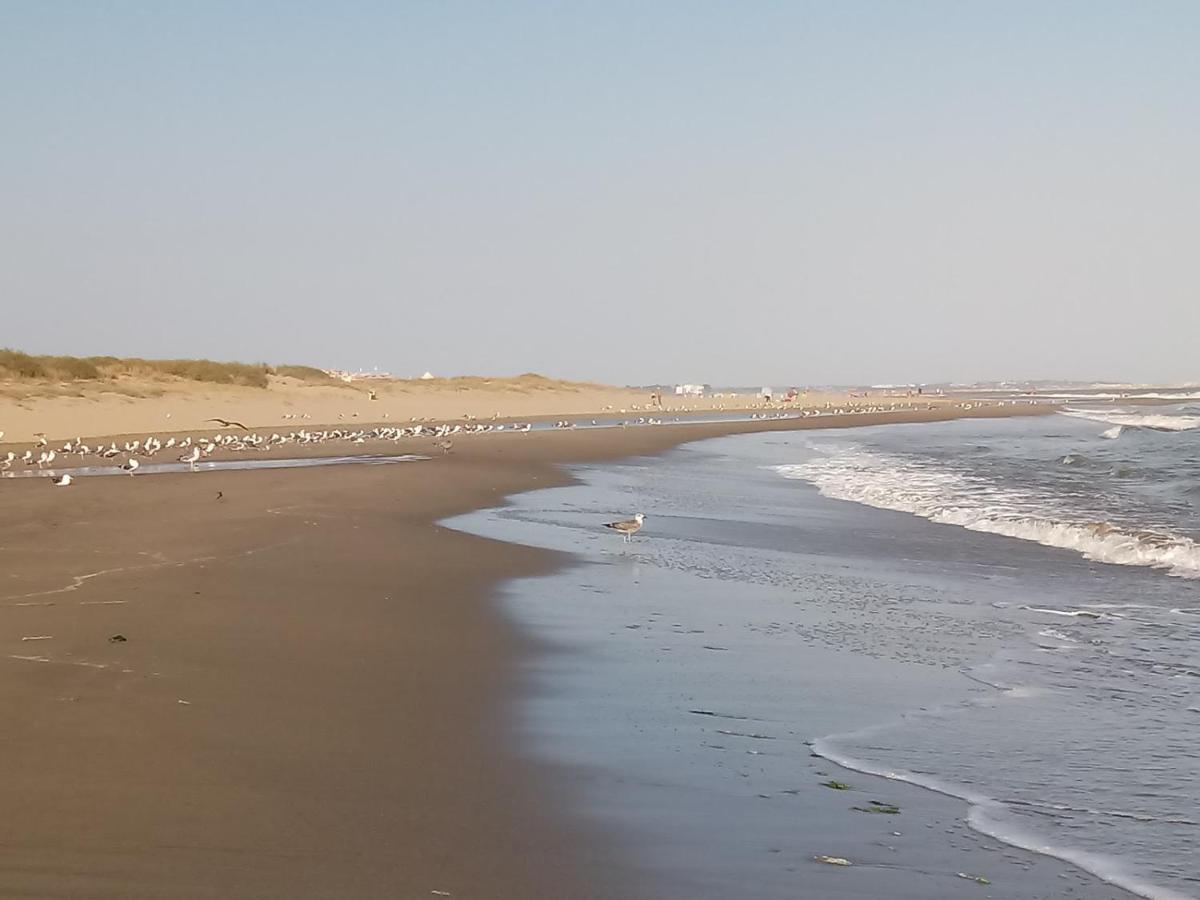 Los Pelicanos Ayamonte Exterior foto